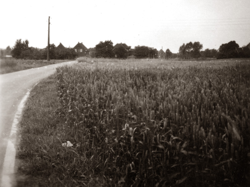 Vorst, Zum Feldchen; Blick von Driesch Ortseingang von Vorst, dem heutigen Rottes. Ganz rechts im Bild wird einmal die Straße "Zum Feldchen" entstehen.